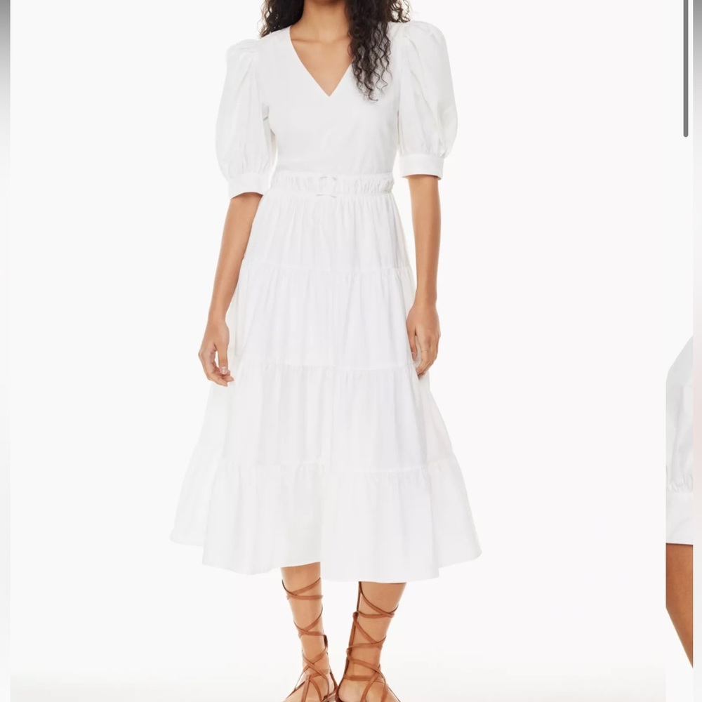 Aritzia Little Moon Dario poplin  dress